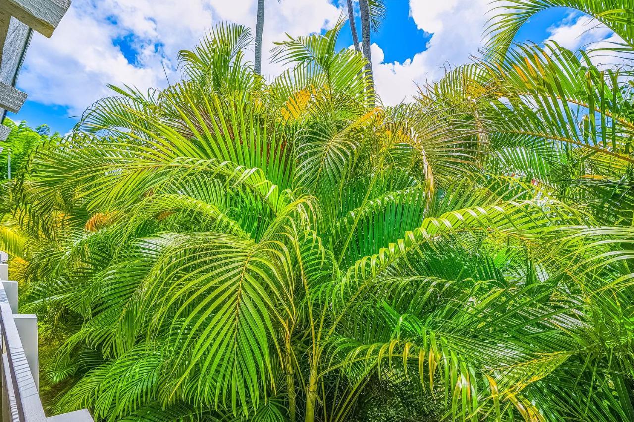 Plantation Hale A10 Apartamento Kapa'a Exterior foto